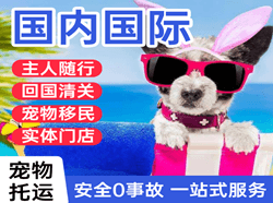 胶东空运代理国际宠物托运 【国